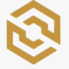 Saket Institute of Management Company logo